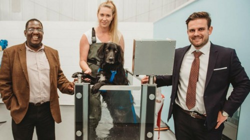 Former swimming instructor making a splash with Fit4Dogs